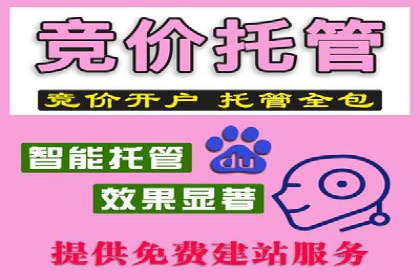 竞价SEM与社交媒体结合的营销案例研究